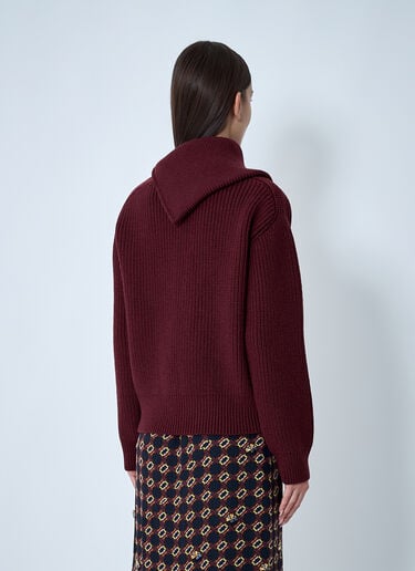 Zip-Collar Sweater Dries Van Noten Zip-Collar Sweater Red dvn0262014