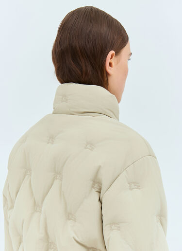 Burberry EKD Nylon Down Jacket Grey bur0257018