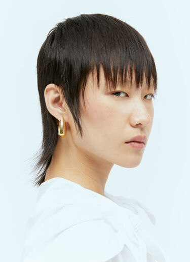 Bottega Veneta Small Fin Earrings Gold bov0256041