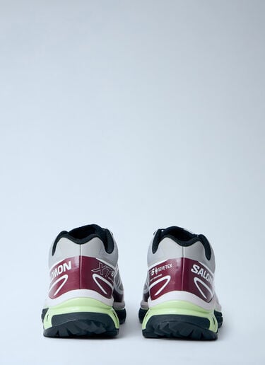 Salomon XT-6 Gore-Tex Sneakers Grey sal0364015