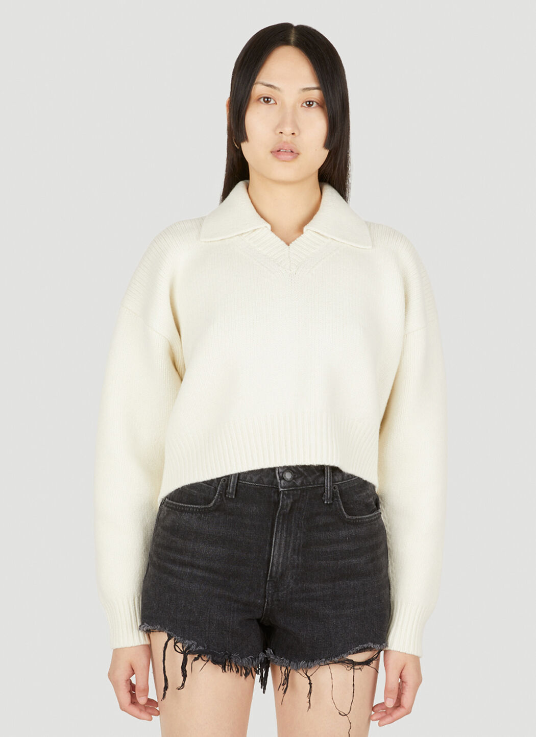 Alexander wang top v neck sweater