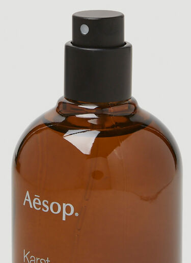 Aesop Karst Eau de Parfum Brown sop0349013