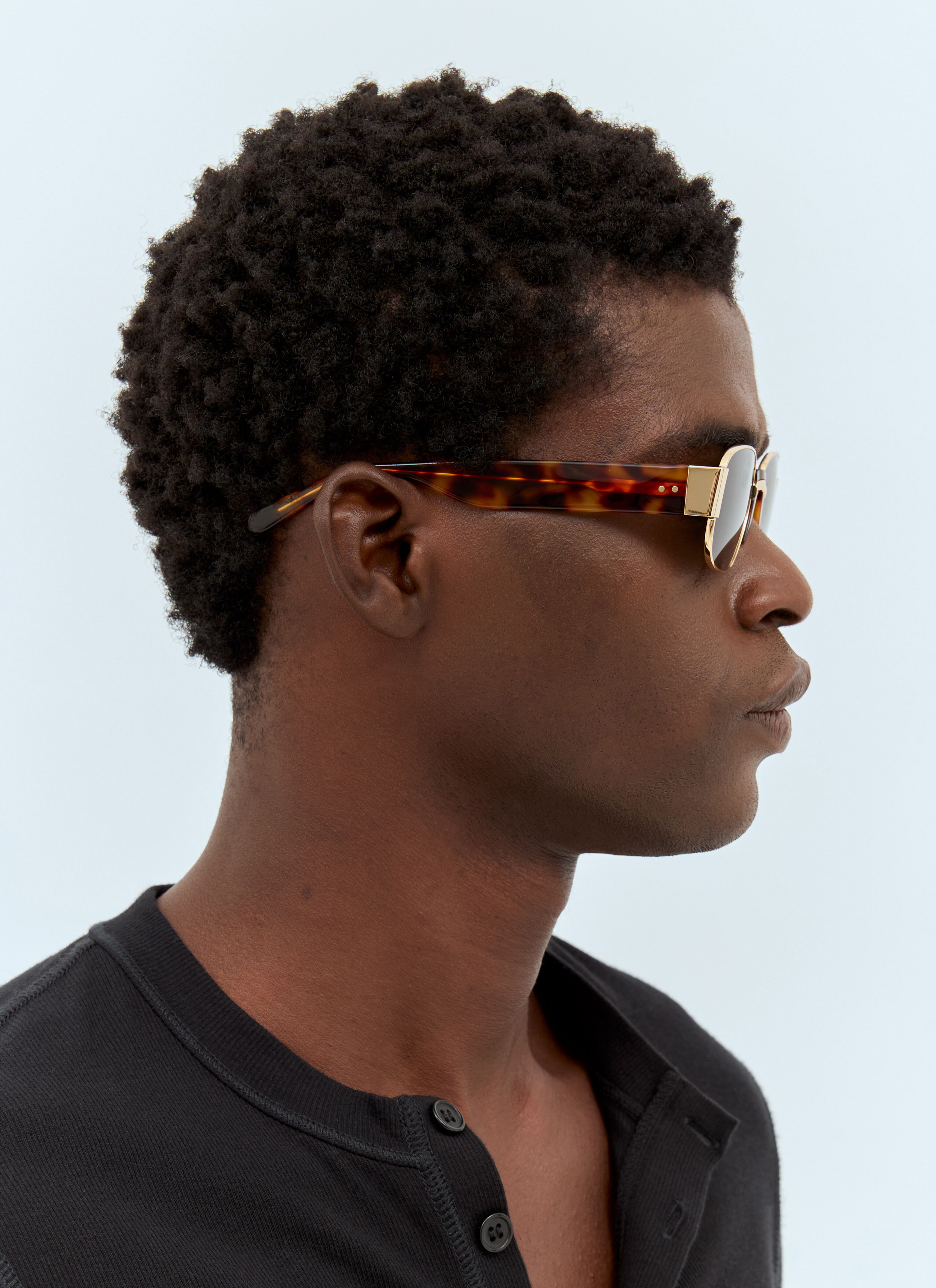 Van sunglasses on sale
