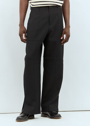Jil Sander Panelled Wool Pants Pink jil0159002