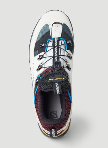 Salomon Raid Wind Advanced Sneakers Beige sal0346008