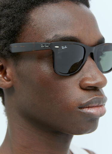 ウェイファーラー トータスサングラス Ray-Ban ウェイファーラー トータスサングラス ブラウン lrb0353013