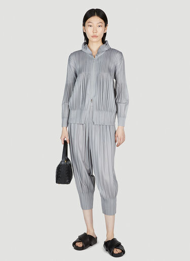 Pleats Please Issey Miyake Pleated Pants Grey plp0253012