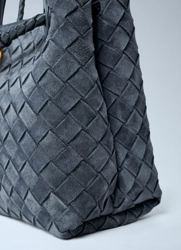 Bottega Veneta Small Andiamo Handbag Grey bov0262045