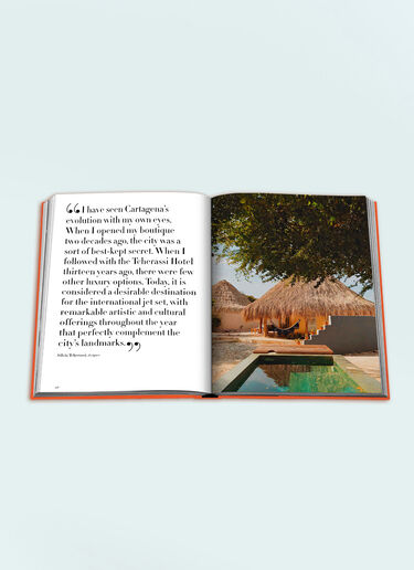 Assouline Cartagena Grace Orange wps0691714