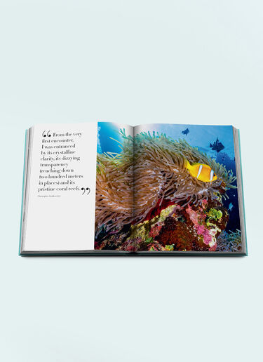 Assouline Red Sea: The Saudi Coast Blue wps0691719