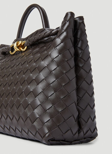 Medium Andiamo Handbag Bottega Veneta Medium Andiamo Handbag Brown bov0252027