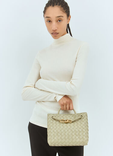 Bottega Veneta 小号 Andiamo 手提包 绿色 bov0257050