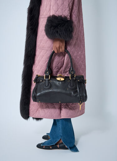 Chloé Paddington Handbag Brown chl0262037