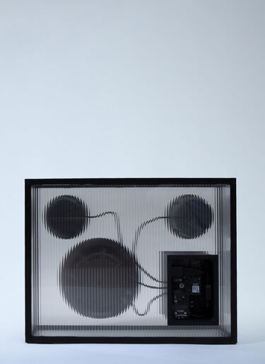 Transparent Transparent Speaker x LN-CC Black trn0363001