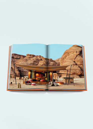 Assouline Alula Ever Orange wps0691712