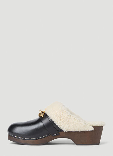 Saint Laurent Toff 15 Clogs Black sla0349001