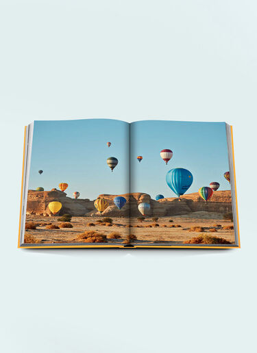 Assouline Alula Ever Orange wps0691712