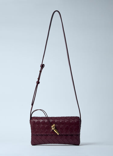 Bottega Veneta Crossbody Andiamo Bag Burgundy bov0259027
