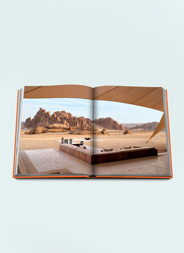 Assouline Alula Ever Orange wps0691712