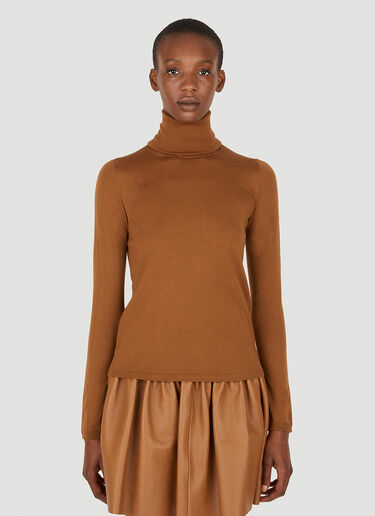 Max Mara Saluto Roll Neck Sweater in Brown LN CC
