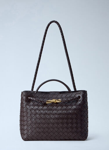 Bottega Veneta Medium Andiamo Handbag Brown bov0254060
