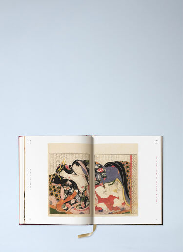 Hokusai Shunga Book Taschen Hokusai Shunga Book Multicolour wps0692312