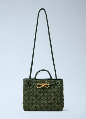 Bottega Veneta Small Andiamo Handbag Green bov0265018
