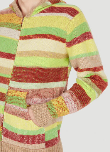 The Elder Statesman Striped Hooded Sweater Green tes0150001