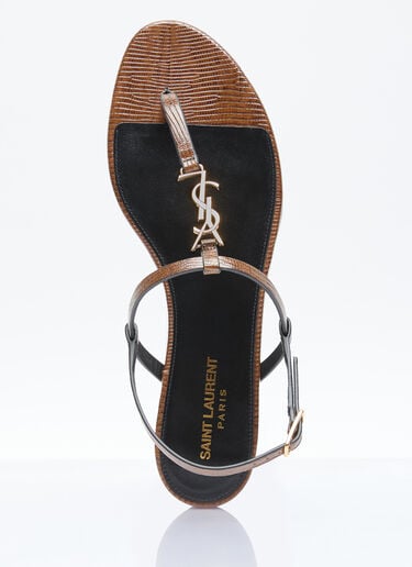 Saint Laurent Cassandra 凉鞋 棕色 sla0255039
