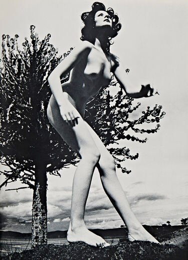 Books Ema Nude In Africa Black dbr0590005