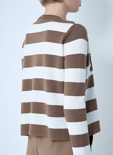 Striped Sweater Max Mara Striped Sweater Brown max0261005