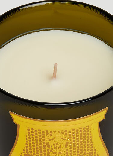 Madeleine Candle Trudon Madeleine Candle Green wps0670169