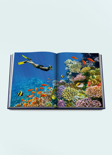 Assouline Ocean Wanderlust Blue wps0691687