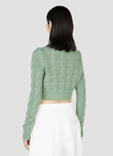 Max Mara 스핑크스 스웨터 Green max0252043