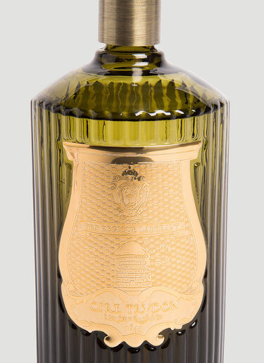 Trudon Abd El Kader Room Spray Green wps0644247