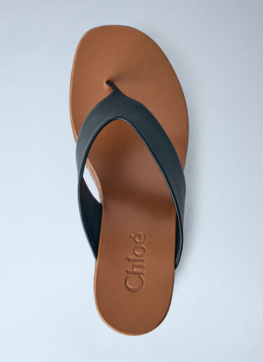 LN-CC® - Chloé: Maxime Wedge Sandals - Brown Chloé Maxime Wedge Sandals Brown chl0265029