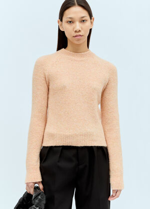 Dries Van Noten Fitted Knit Sweater Pink dvn0254026