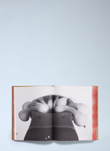 Antenne Books TITTIPUSSIDAD - Sarah Lucas Brown ane0564011