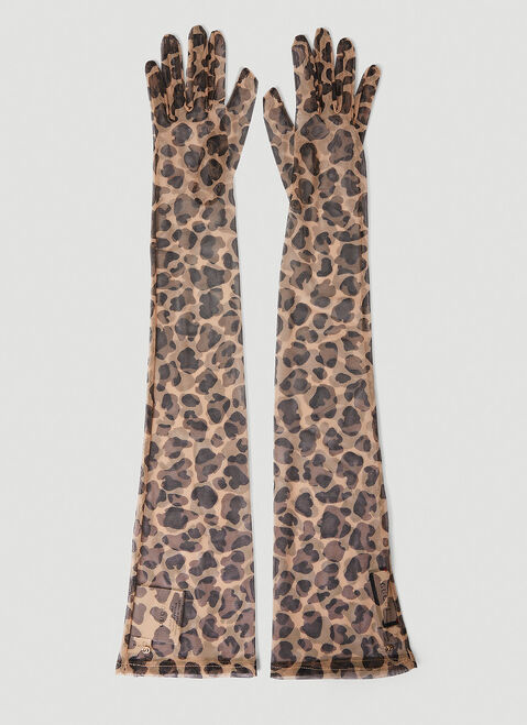 Saint Laurent Leopard Print Gloves Black sla0253170