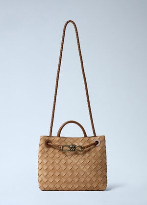 Bottega Veneta Small Andiamo Handbag Camel bov0262006
