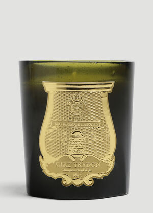 Trudon Ernesto Large Candle Green wps0644251