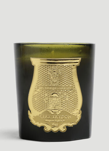 Trudon Ernesto Large Candle Green wps0644251