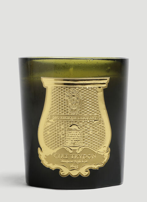 Cire Trudon Ernesto Large Candle Green wps0644249