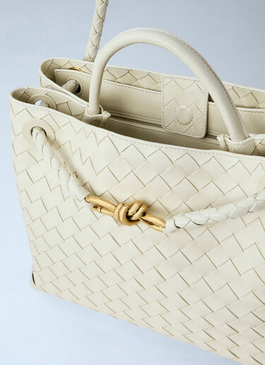 LN-CC® - Bottega Veneta: Medium Andiamo Handbag - Beige Bottega Veneta Medium Andiamo Handbag Beige bov0262048