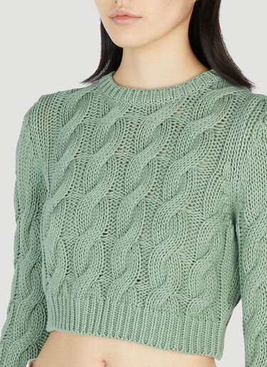 Max Mara 스핑크스 스웨터 Green max0252043
