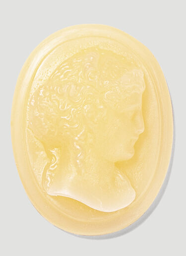 Set Of Four Solis Rex Wax Cameos Trudon Set Of Four Solis Rex Wax Cameos Pink wps0642117