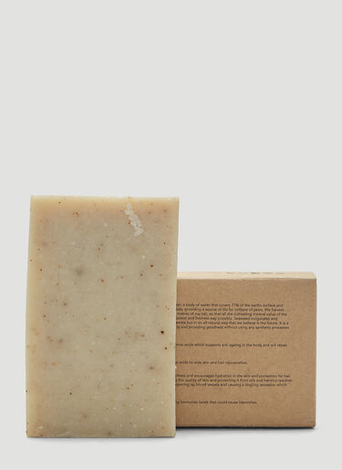 Haeckels Exfoliating Vegan Seaweed Block Brown hks0336008