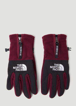 The North Face The Denali Etip™ Gloves Black tnf0146006