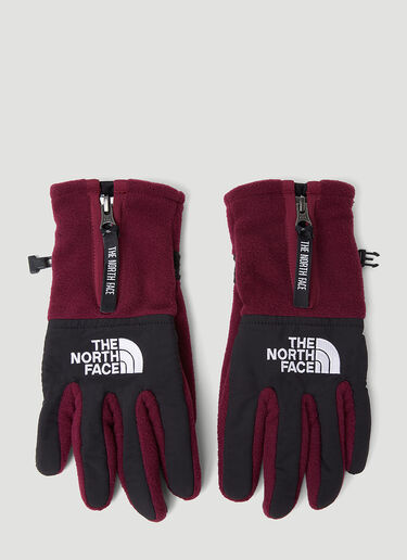 The North Face The Denali Etip™ Gloves Pink tnf0154023