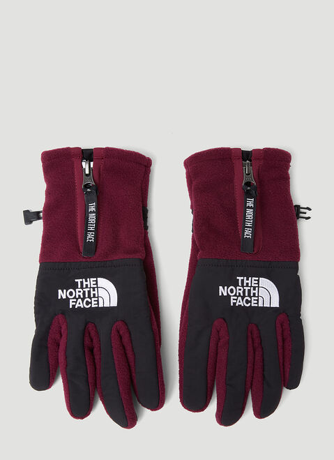 The North Face The Denali Etip™ Gloves Purple tnf0154021